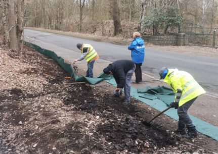 Krötenwanderung beginnt - Wer möchte unterstützen?