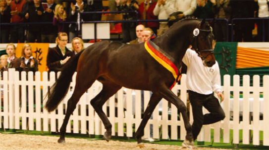 Hier geht es tierisch zu vom 17. bis 20. Oktober