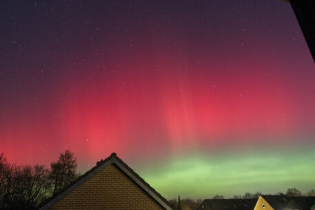 Warum Sie gesehen haben, was Sie gesehen haben