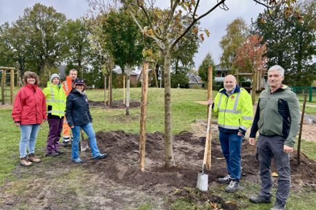 Neue Bäume für Quickborn: Einheitsbuddeln und Apfelbaum-Challenge