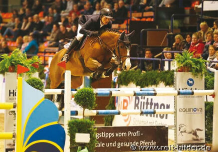 Holstein International Amateur Reitturnier ab 23. Oktober