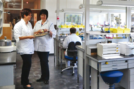 Passende Lösung für unfallbedingten Zahnverlust