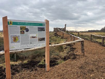 Renaturiertes Grotmoor jetzt erleben