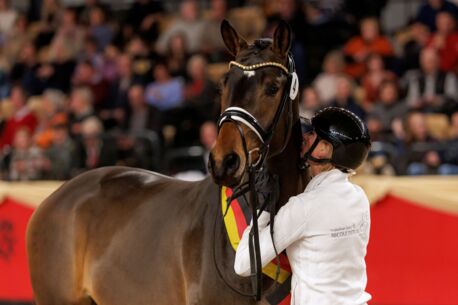 63. Trakehner Hengstmarkt Vorweihnachtliches Pferdefest in den Holstenhallen