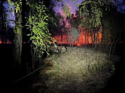 Brand im Henstedter Moor - Feuerwehr im Großeinsatz