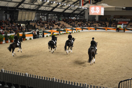 Kleiner Trakehner Galaabend (Fotogalerie)
