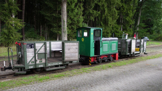 Gibt es eine neue Chance für das Moor in Bad Bramstedt?