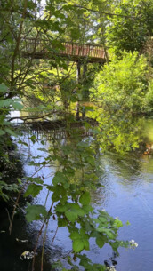 Kühle Gefühle an der Hudau in Bad Bramstedt