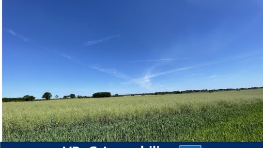 Arrondierte Flächen: 7,6 ha Ackerland in Rieps/
 NWM zu verkaufen (A3761)