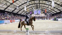 40 Jahre FEI Dressage World Cup™ in Neumünster: Wo Sportgeschichte geschrieben wird