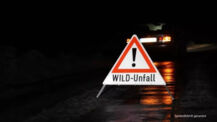 Achtung Autofahrer! Heute erhöhter Wildwechsel durch Treibjagden