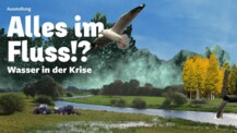 Ausstellung: Alles im Fluss!? – Wasser in der Krise