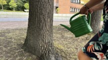 Gemeinsam für die Bäume in Quickborn