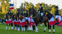 Nachwuchs, Meisterschaften und Ponyvielfalt