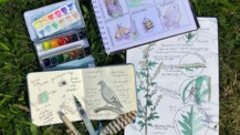 „Nature Journaling“ im Stadtpark Norderstedt