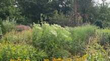 Offener Garten im Herbstlicht