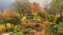 Offener Garten im November