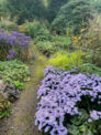 Offener Garten - Licht und Farbe für den Herbst- und Winter