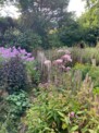 Premiere für den Herbst: Aktion Offener Garten lädt nochmals zum Gartenbesuch ein