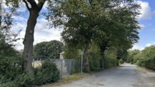 Vorsorge für den Herbst: Stadt entfernt drei pilzbefallene Bäume