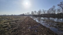 Wiedervernässung im Heidmoor: Arbeiten werden  fortgesetzt