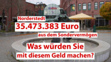 Was soll Ihre Stadt mit diesem Geld machen?