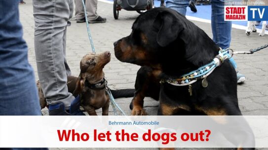 Who let the dogs out? - 9. Norderstedter Hundemesse