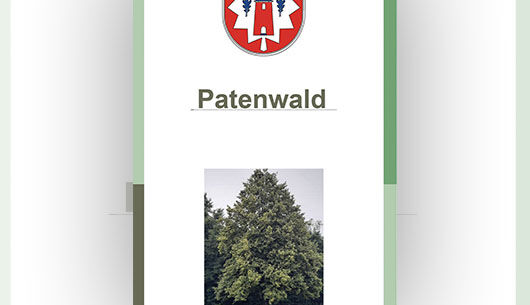 Baumpatenschaft im Geburten- und Patenwald 