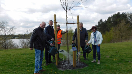 Lions Club Henstedt-Ulzburg spendet Baum   für Freizeit- und Erholungspark