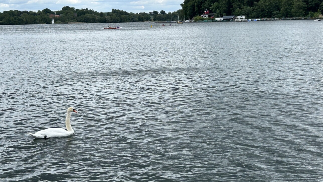 Das war das Segeberger Seefest 2026