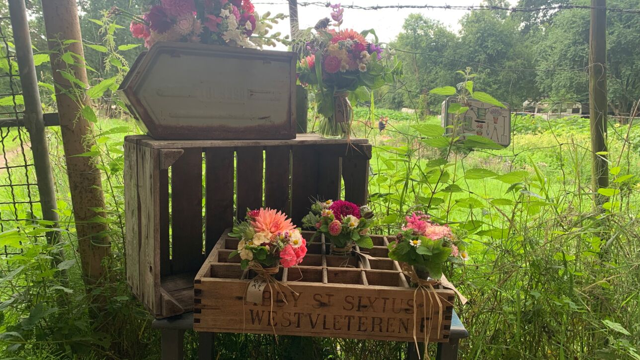 Der Einfelder See in Neumünster