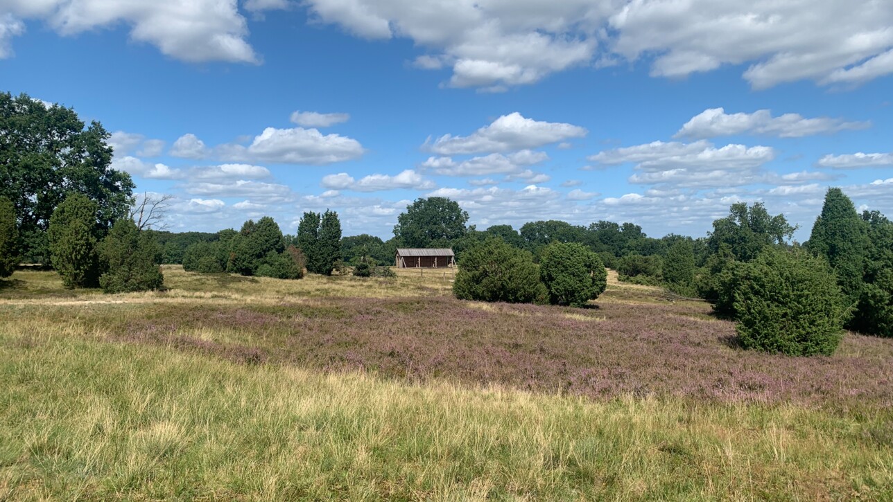 Der Totengrund in der Lüneburger Heide