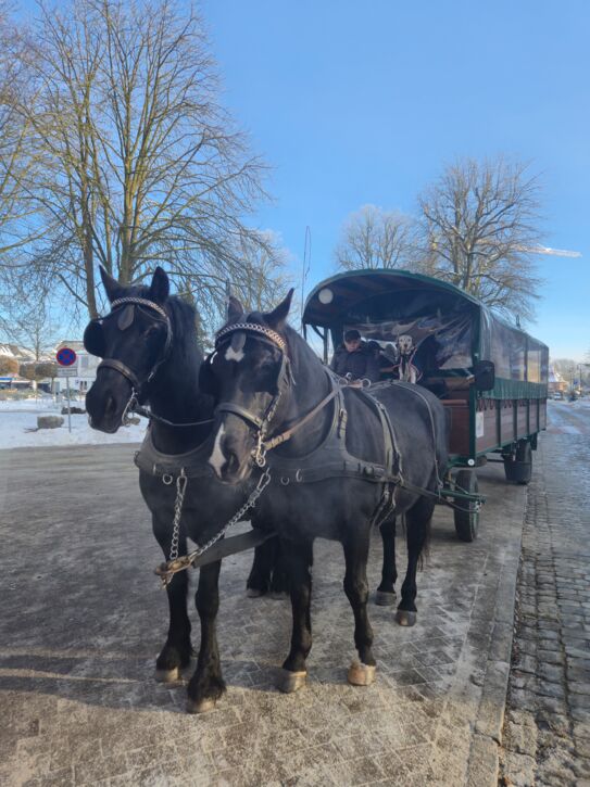Das war der Neujahrsempfang AufTakt 2026 der Stadt Kaltenkirchen!