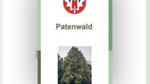 Baumpatenschaft im Geburten- und Patenwald 