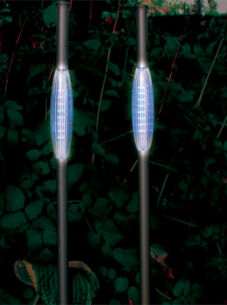 Leuchtend schöne Akzente