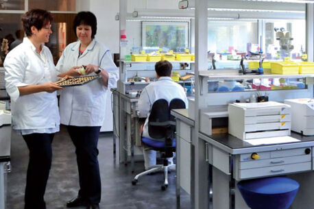 50 plus – „Best Age“