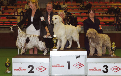 „Neumünster wedelt“ am 1. und 2. Juni