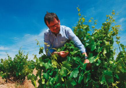 Rodriguez Sanzo: Edle Tropfen aus Spanien