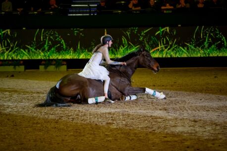 Die Röckeners rocken die Holstenhallen