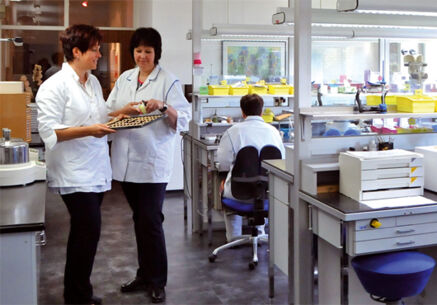 50 plus – „Best Age“