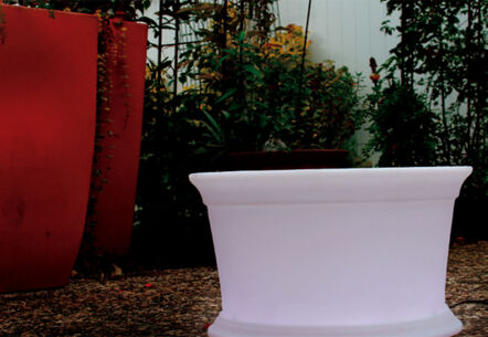 Leuchtend schöner Garten