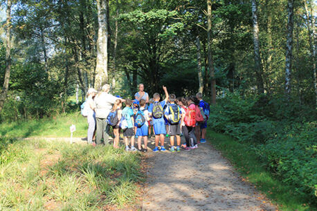 Jugendwaldspiele – erfolgreiches Waldfest