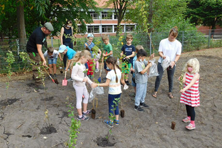 Erstklässler pflanzen Bäume