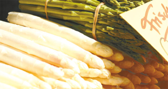 Die Spargelsaison ist eröffnet!