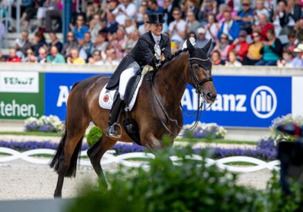 57. Trakehner Hengstmarkt