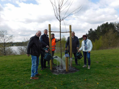Lions Club Henstedt-Ulzburg spendet Baum   für Freizeit- und Erholungspark