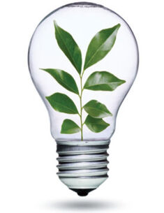 Fairer Handel – Konsum gegen Armut!