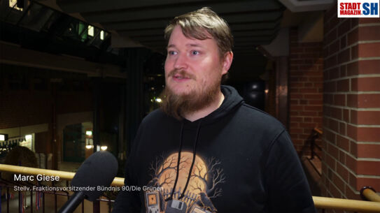 Rathaus: Mitte oder Gewerbegebiet? Das sagen die Grünen!