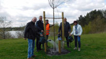 Lions Club Henstedt-Ulzburg spendet Baum   für Freizeit- und Erholungspark