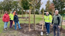 Neue Bäume für Quickborn: Einheitsbuddeln und Apfelbaum-Challenge